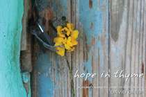 Hope in Thyme