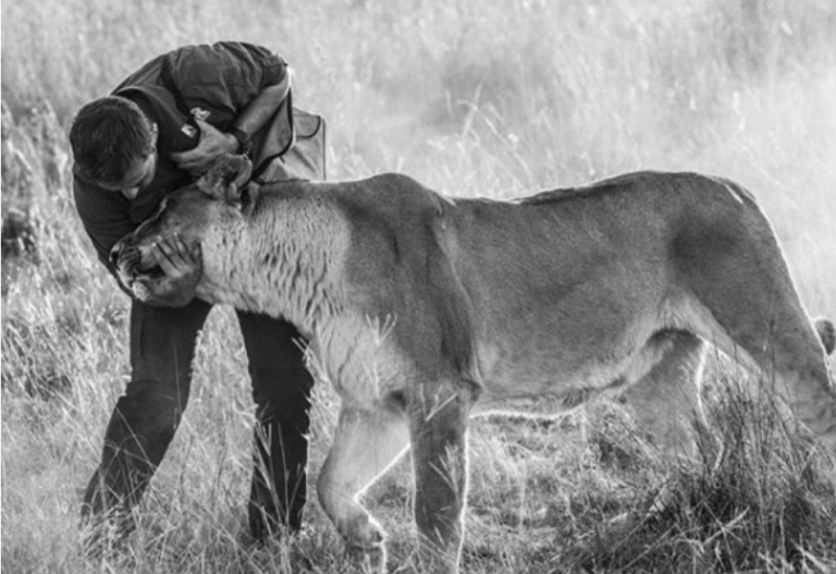 Meet-Kevin Richardson-The-Lion-Whisperer