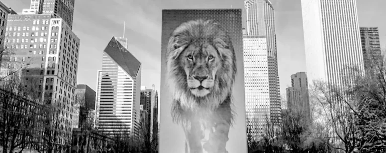 The-Lion-Whisperer