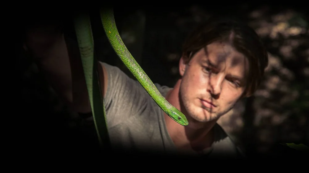 Kurdt Greenwood - green-mamba